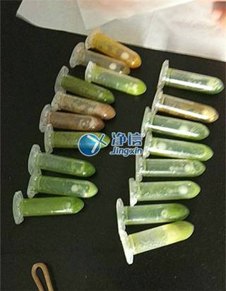 ����ͨ���M����ĥ�x 