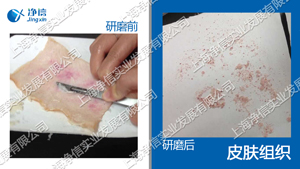 ���ٽM���͜������{�x